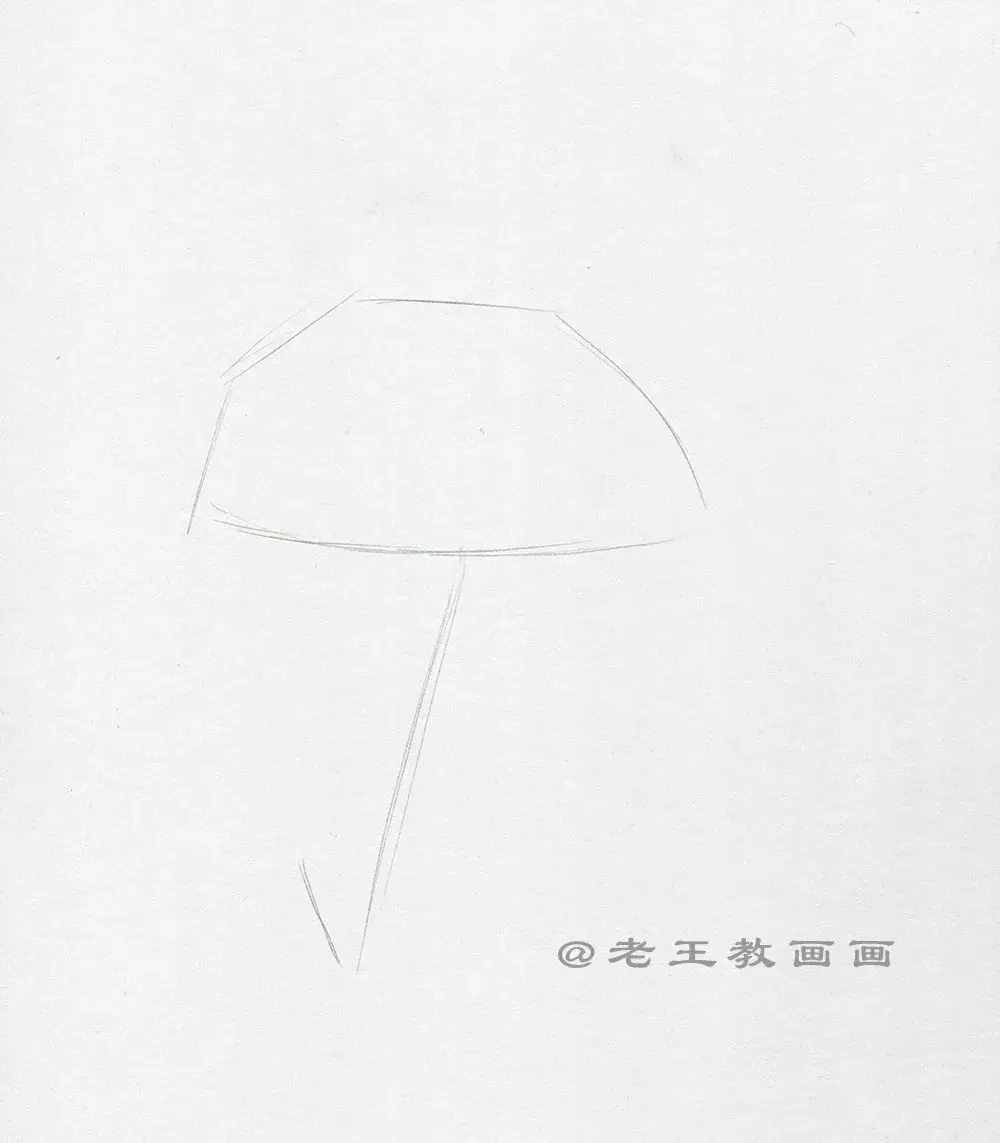 手绘一朵康乃馨，零基础也能学会画