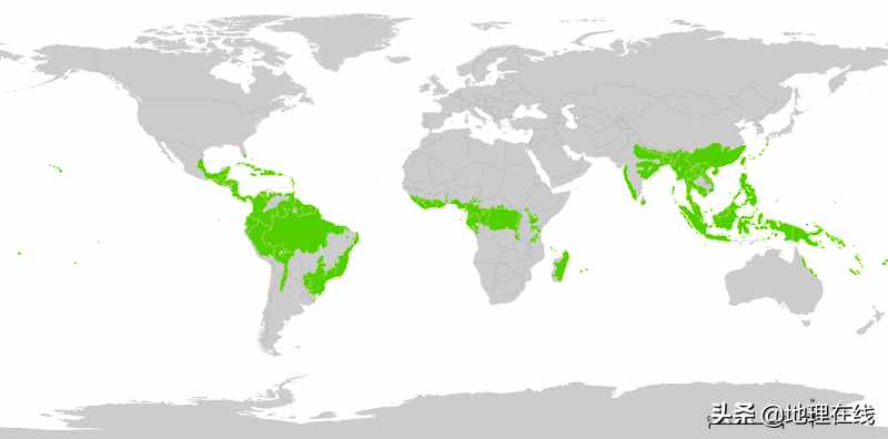 为什么热带雨林很重要？世界上三大热带雨林气候区主要分布在哪？