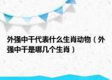 外强中干代表什么生肖动物（外强中干是哪几个生肖）