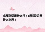 成都歌词是什么梗（成都歌词是什么意思）