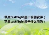 苹果testflight是干嘛的软件（苹果testflight是干什么用的）