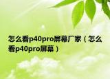 怎么看p40pro屏幕厂家（怎么看p40pro屏幕）