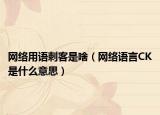 网络用语刺客是啥（网络语言CK是什么意思）