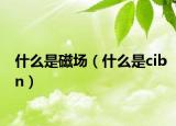 什么是磁场（什么是cibn）