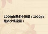 1000gb是多少流量（1000gb是多少兆流量）