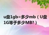 u盘1gb=多少mb（U盘1G等于多少MB?）