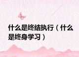 什么是终结执行（什么是终身学习）