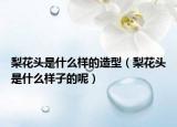 梨花头是什么样的造型（梨花头是什么样子的呢）