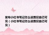 发布小红书笔记怎么设置仅自己可见（小红书笔记怎么设置仅自己可见）
