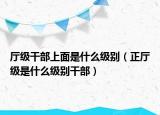 厅级干部上面是什么级别（正厅级是什么级别干部）