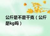 公斤是不是千克（公斤是kg吗）