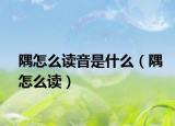 隅怎么读音是什么（隅怎么读）