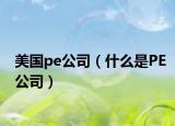 美国pe公司（什么是PE公司）