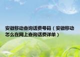 安徽移动查询话费号码（安徽移动怎么在网上查询话费详单）