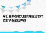 今日更新在哺乳期离婚应当怎样支付子女的抚养费