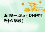 dnf多一点tp（DNF中TP什么意思）