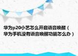 华为p20小艺怎么开启语音唤醒（华为手机没有语音唤醒功能怎么办）