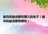 益鸟和益虫都吃哪儿的虫子（益鸟和益虫都有哪些）