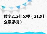 数字212什么梗（212什么意思梗）