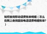 如何查询移动话费账单明细（怎么在网上查询固定电话话费明细账单?）