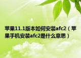 苹果11.1版本如何安装afc2（苹果手机安装afc2是什么意思）