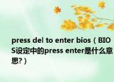 press del to enter bios（BIOS设定中的press enter是什么意思?）