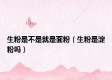 生粉是不是就是面粉（生粉是淀粉吗）