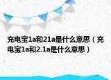 充电宝1a和21a是什么意思（充电宝1a和2.1a是什么意思）