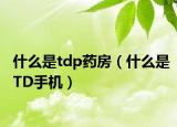 什么是tdp药房（什么是TD手机）