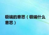 极端的意思（极端什么意思）