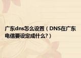 广东dns怎么设置（DNS在广东电信要设定成什么?）