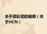 关于混彩泥的视频（关于HCN）