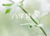 今日更新免费称骨算命（免费算命八字算终身）