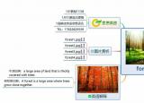今日更新forest是什么意思（forest森林）