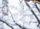 今日更新小雪的节气做什么事情（二十四节气小雪）