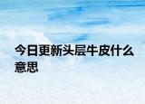 今日更新头层牛皮什么意思
