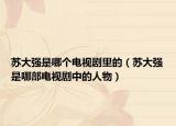 苏大强是哪个电视剧里的（苏大强是哪部电视剧中的人物）