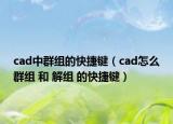 cad中群组的快捷键（cad怎么群组 和 解组 的快捷键）