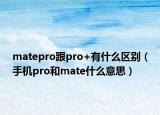 matepro跟pro+有什么区别（手机pro和mate什么意思）