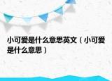 小可爱是什么意思英文（小可爱是什么意思）