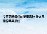 今日更新最红的苹果品种 什么品种的苹果最红