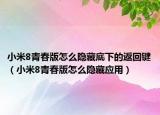 小米8青春版怎么隐藏底下的返回键（小米8青春版怎么隐藏应用）