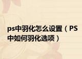 ps中羽化怎么设置（PS中如何羽化选项）