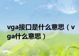 vga接口是什么意思（vga什么意思）