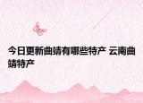 今日更新曲靖有哪些特产 云南曲靖特产