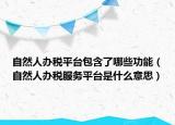 自然人办税平台包含了哪些功能（自然人办税服务平台是什么意思）