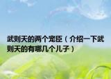 武则天的两个宠臣（介绍一下武则天的有哪几个儿子）