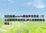 如何查看oracle数据库实例名（什么是数据库实例名,肿么查看数据实例名）