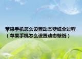 苹果手机怎么设置动态壁纸全过程（苹果手机怎么设置动态壁纸）