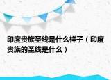 印度贵族圣线是什么样子（印度贵族的圣线是什么）